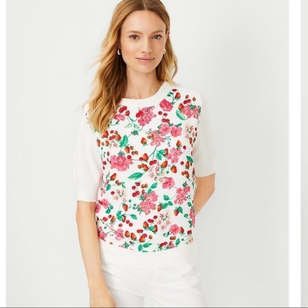 Ann Taylor Floral Mixed Media Sweater Tee